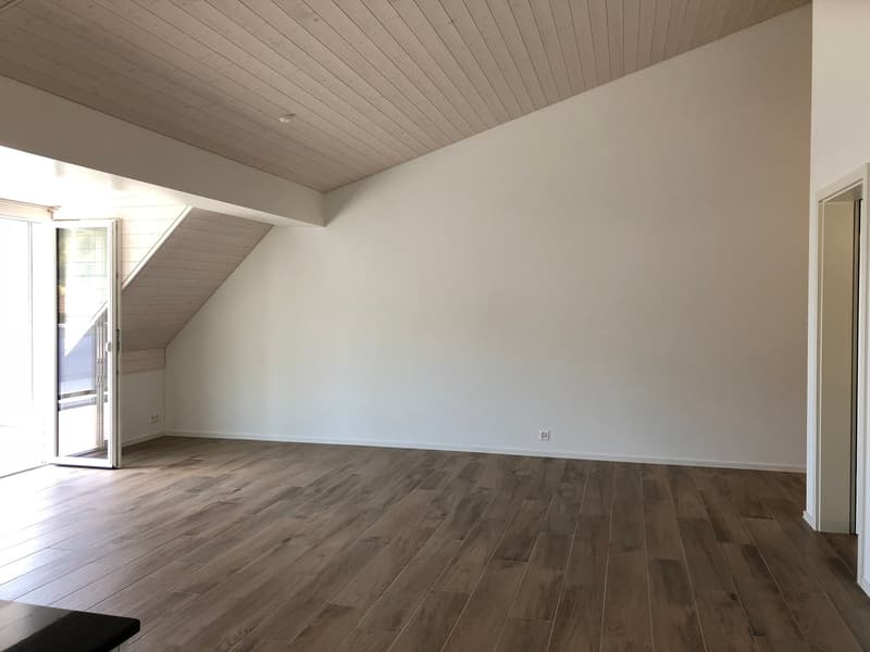 Moderne 3.5-Zimmer-Dachwohnung mit grosser Terrasse in Leibstadt (3)