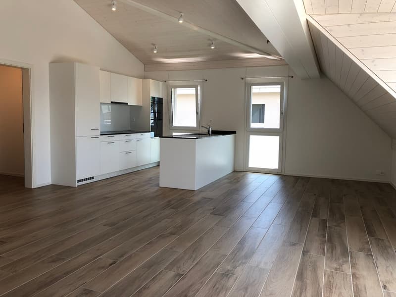 Moderne 3.5-Zimmer-Dachwohnung mit grosser Terrasse in Leibstadt (2)