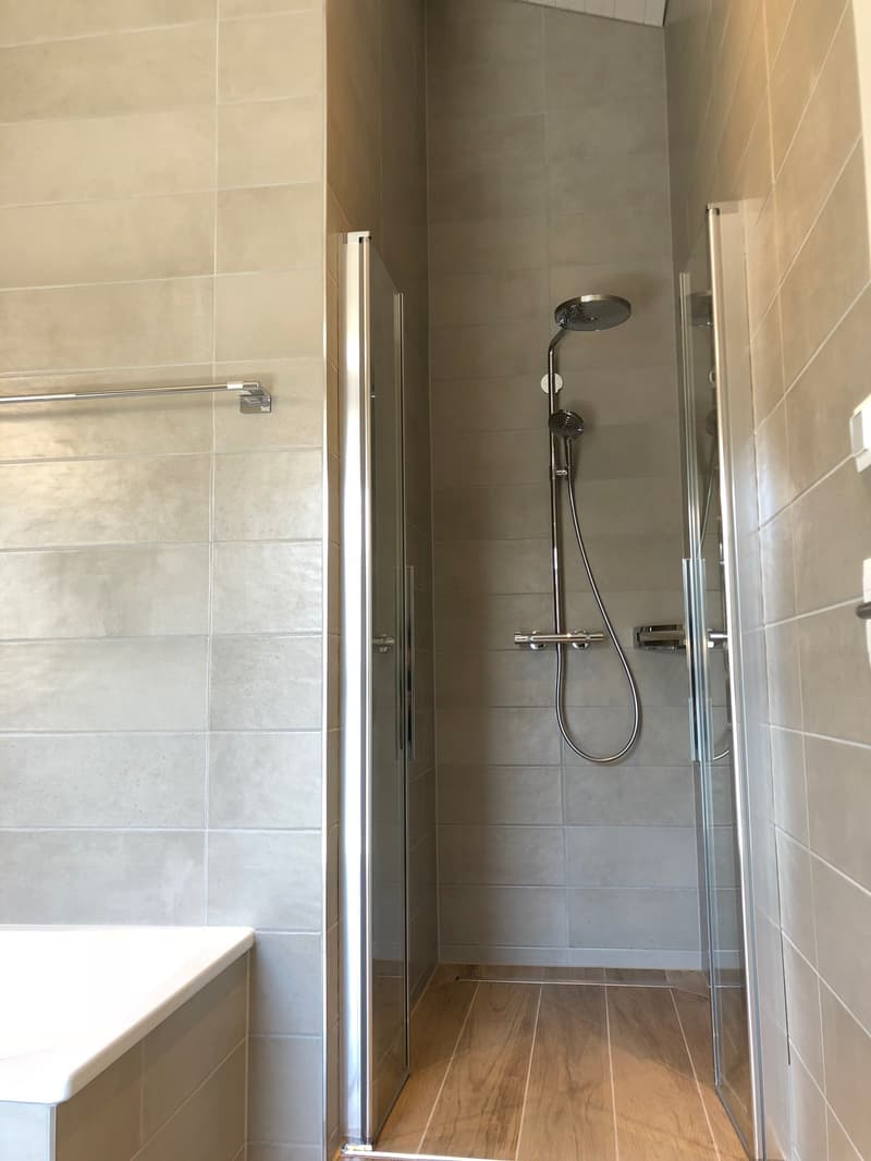 Moderne 3.5-Zimmer-Dachwohnung mit grosser Terrasse in Leibstadt (7)