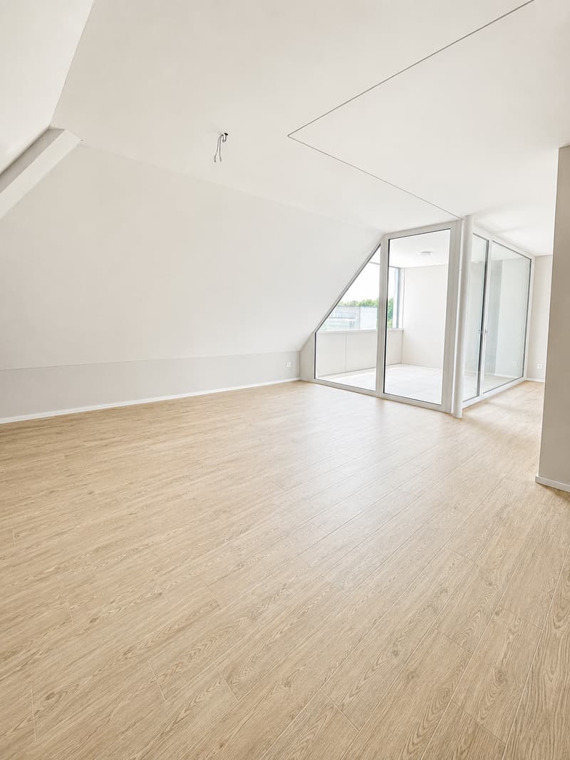 Appartamento moderno 3.5 locali con vista panoramica a Holderbank (6)