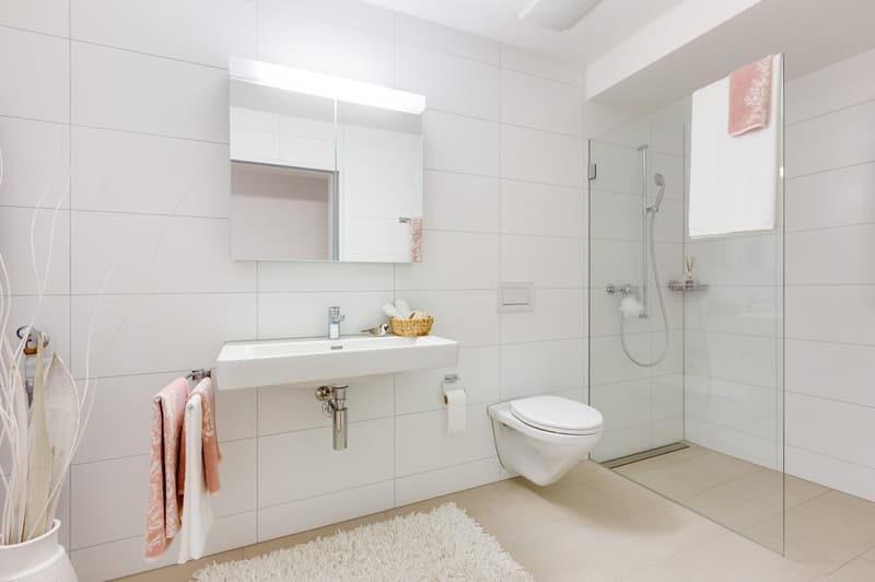 Incantevole appartamento attico di 3,5 locali in una posizione tranquilla a Menznau (12)