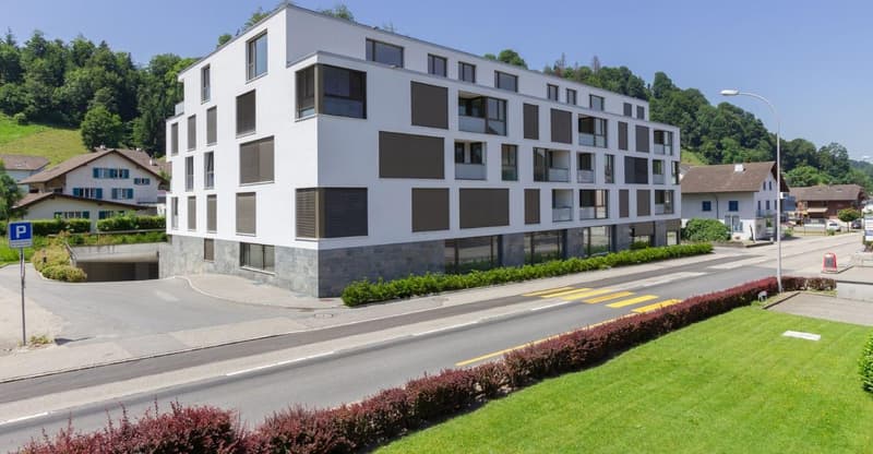 Incantevole appartamento attico di 3,5 locali in una posizione tranquilla a Menznau (1)