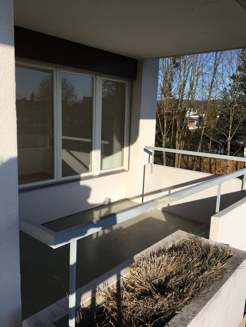 Bright 4.5-room apartment with balcony and beautiful view in Sursee (13)