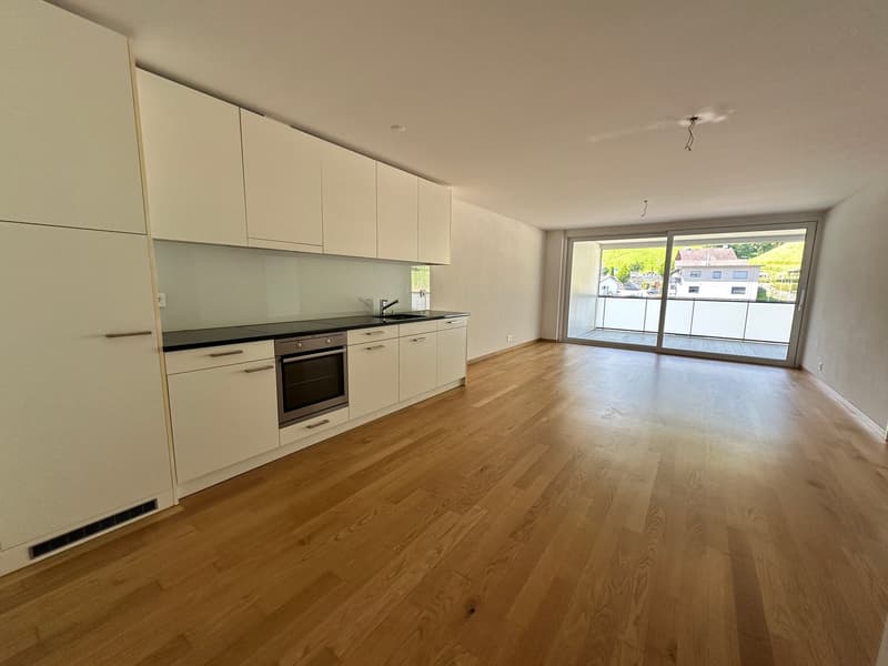 Appartamento moderno 2.5 locali con balcone e vista panoramica a Menznau (3)