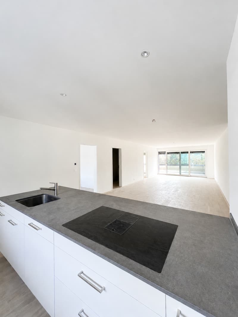 Vivere in modo moderno a Zwingen – Appartamento nuovo di 4.5 locali di alta qualità con balcone (3)