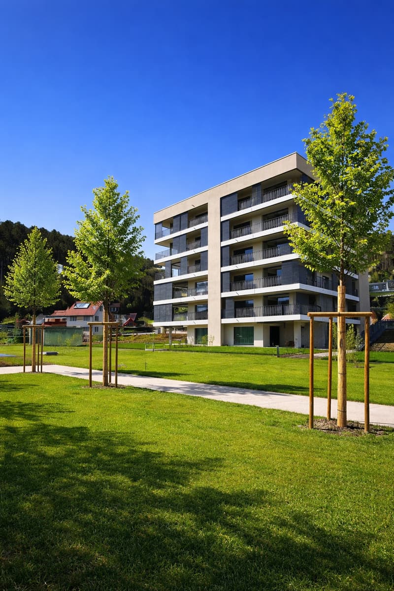 Moderne 5.5-Zimmer-Wohnung mit Balkon und schöner Aussicht in Zwingen (1)