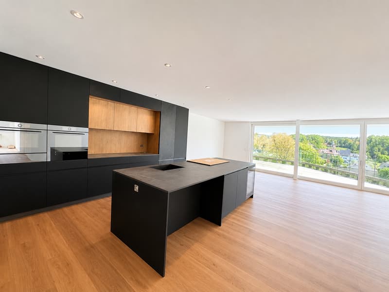 Wohnen der Extraklasse – exklusive 4.5-Zimmer-Terrassenwohnung am Buechenberg (1)