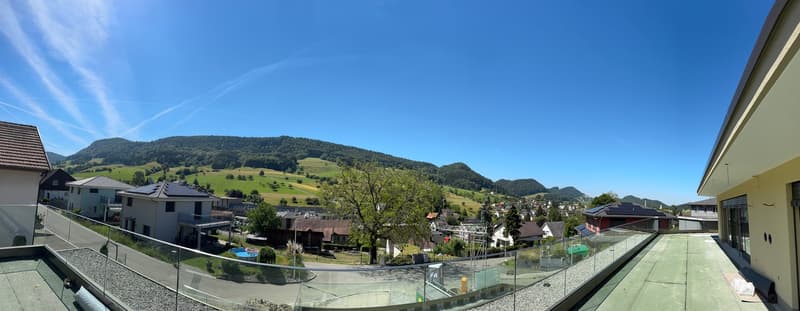Wohnen der Extraklasse – exklusive 4.5-Zimmer-Terrassenwohnung am Buechenberg (5)