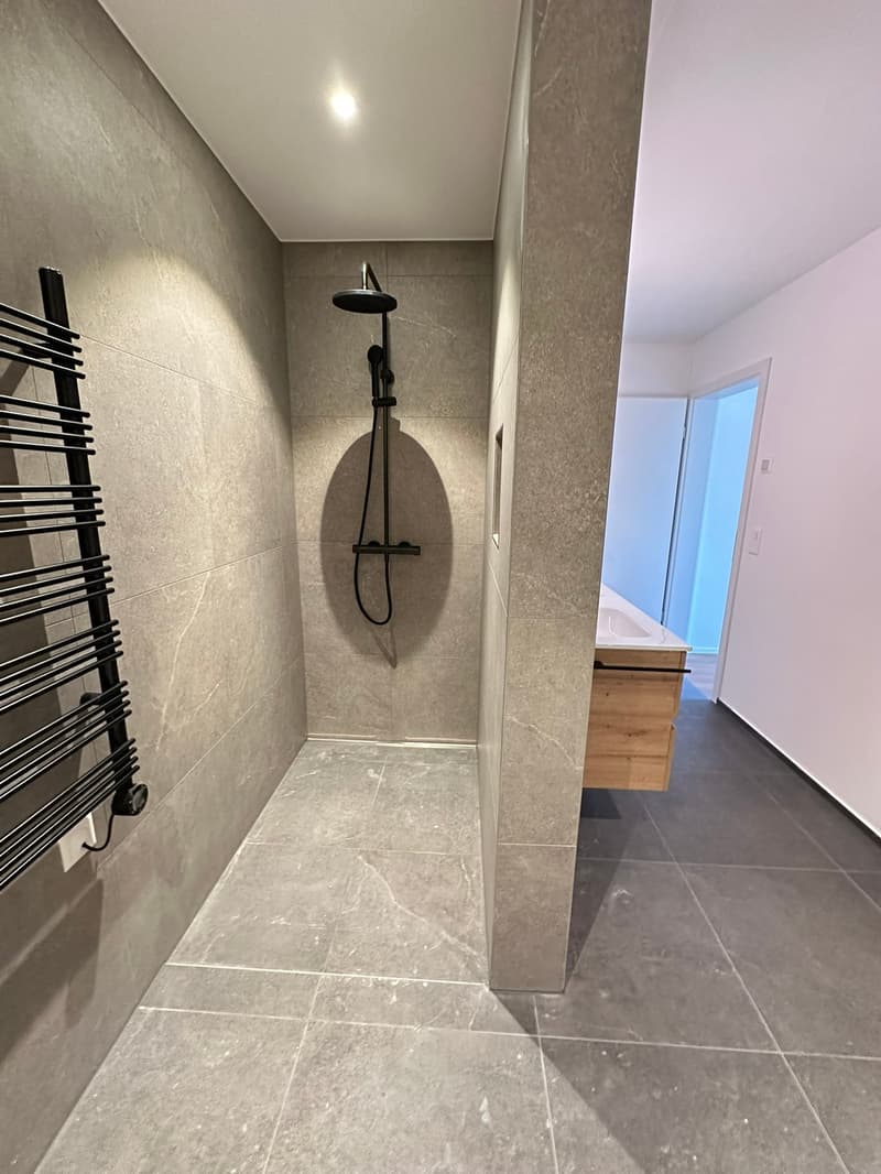 Wohnen der Extraklasse – exklusive 4.5-Zimmer-Terrassenwohnung am Buechenberg (15)