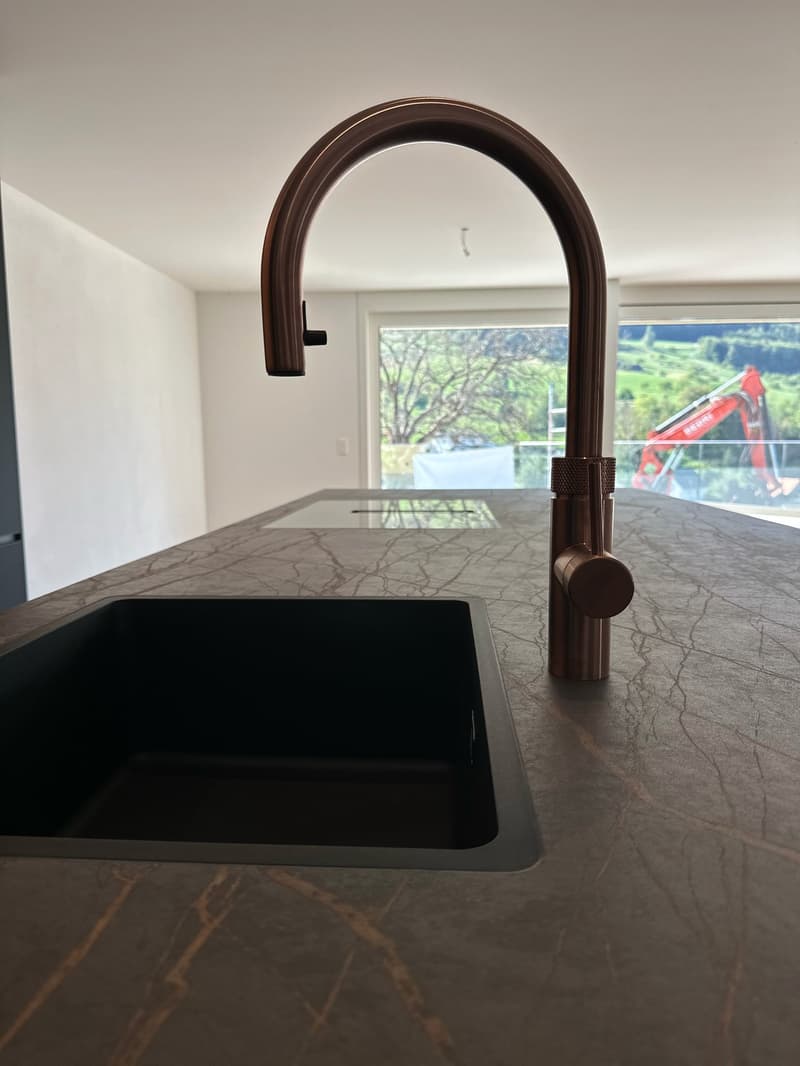 Wohnen der Extraklasse – exklusive 4.5-Zimmer-Terrassenwohnung am Buechenberg (5)