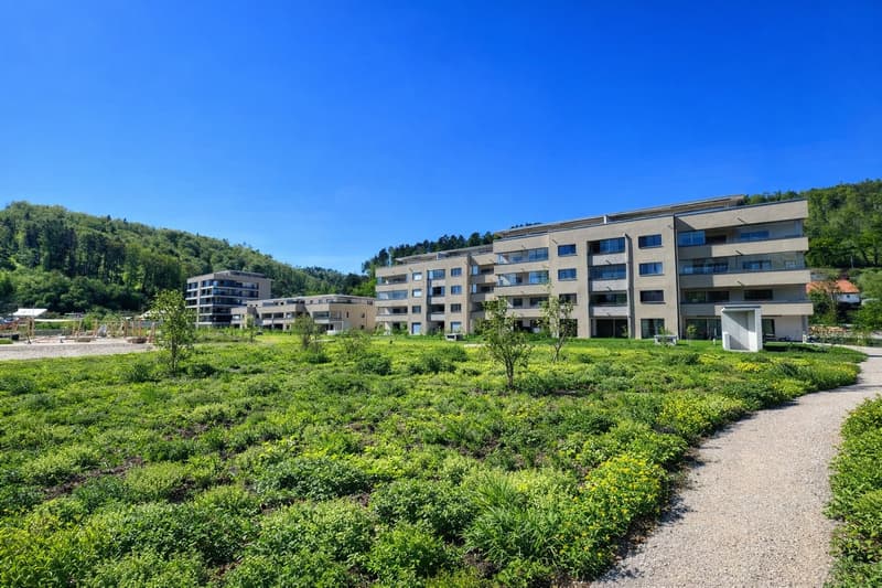 Moderne 5.5-Zimmer-Wohnung mit Balkon und schöner Aussicht in Zwingen (15)