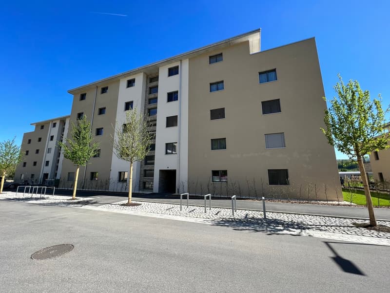 Moderne 5.5-Zimmer-Wohnung mit Balkon und schöner Aussicht in Zwingen (1)