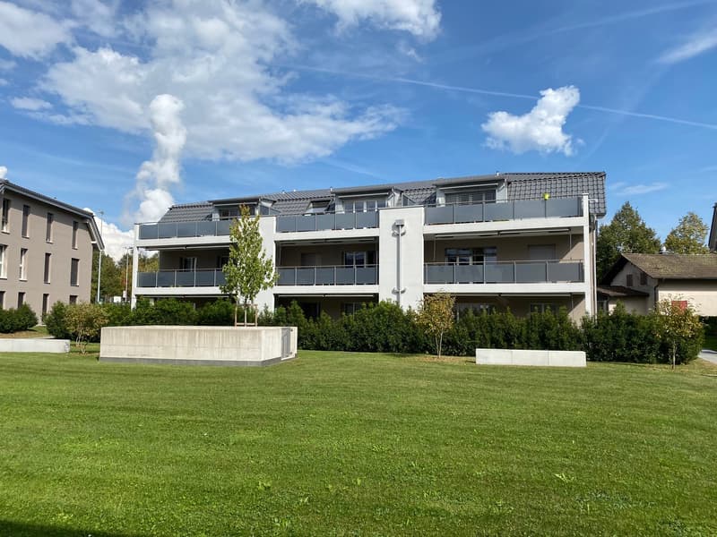 Moderne 3.5-Zimmer-Dachwohnung in Leibstadt – sofort verfügbar! (1)