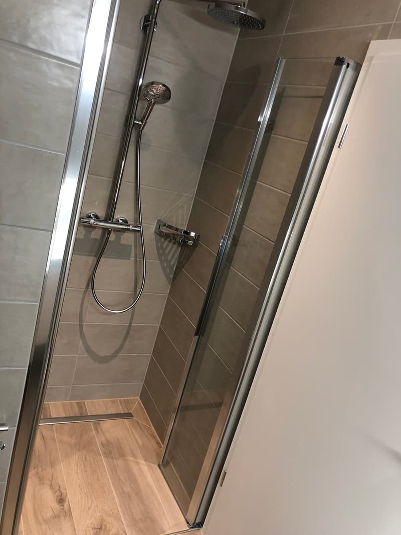 Moderne 3.5-Zimmer-Dachwohnung in Leibstadt – sofort verfügbar! (10)