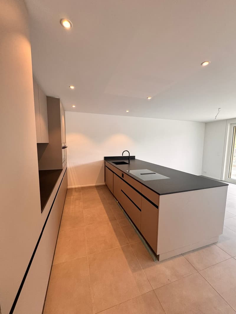 Wohnen der Extraklasse – exklusive 3.5-Zimmer-Terrassenwohnung am Buechenberg (1)