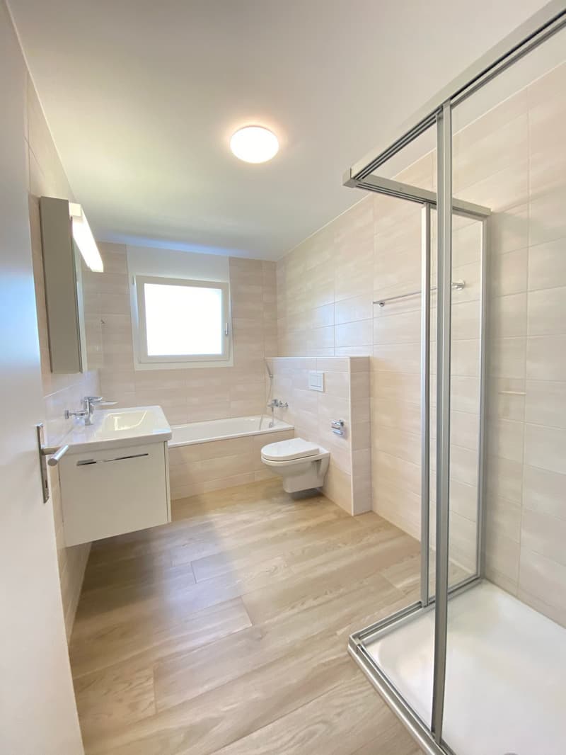 Grosszügige 4.5-Zimmer-Dachwohnung mit Aussicht in Holderbank (10)
