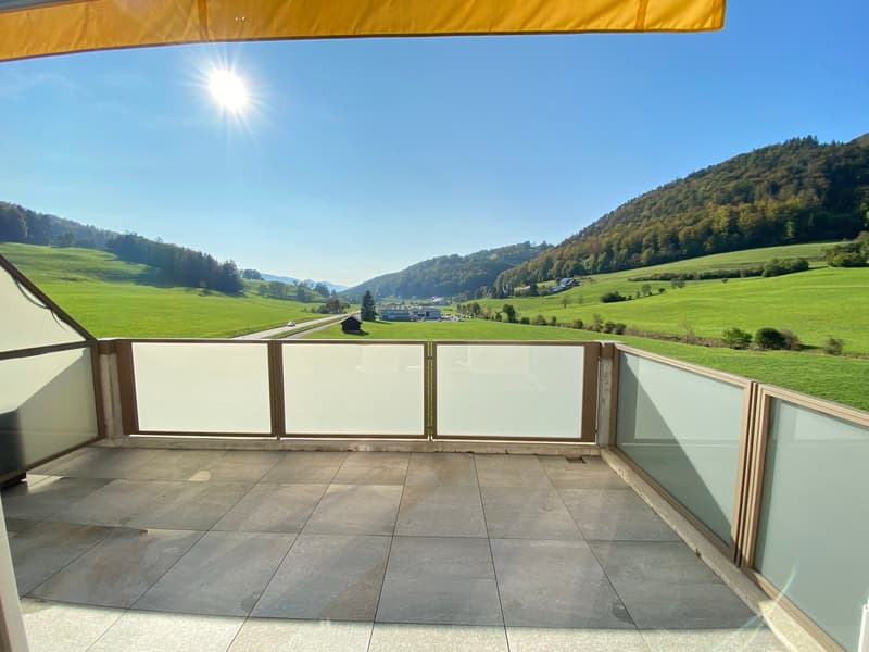 Grosszügige 4.5-Zimmer-Dachwohnung mit Aussicht in Holderbank (12)
