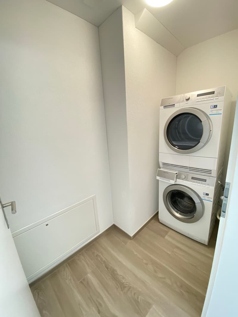 Grosszügige 4.5-Zimmer-Dachwohnung mit Aussicht in Holderbank (11)