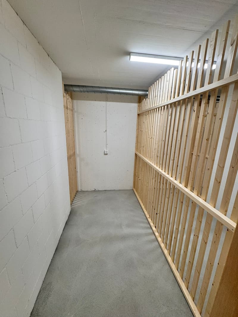 Neubau-Wohnung mit Balkon in Zullwil (15)