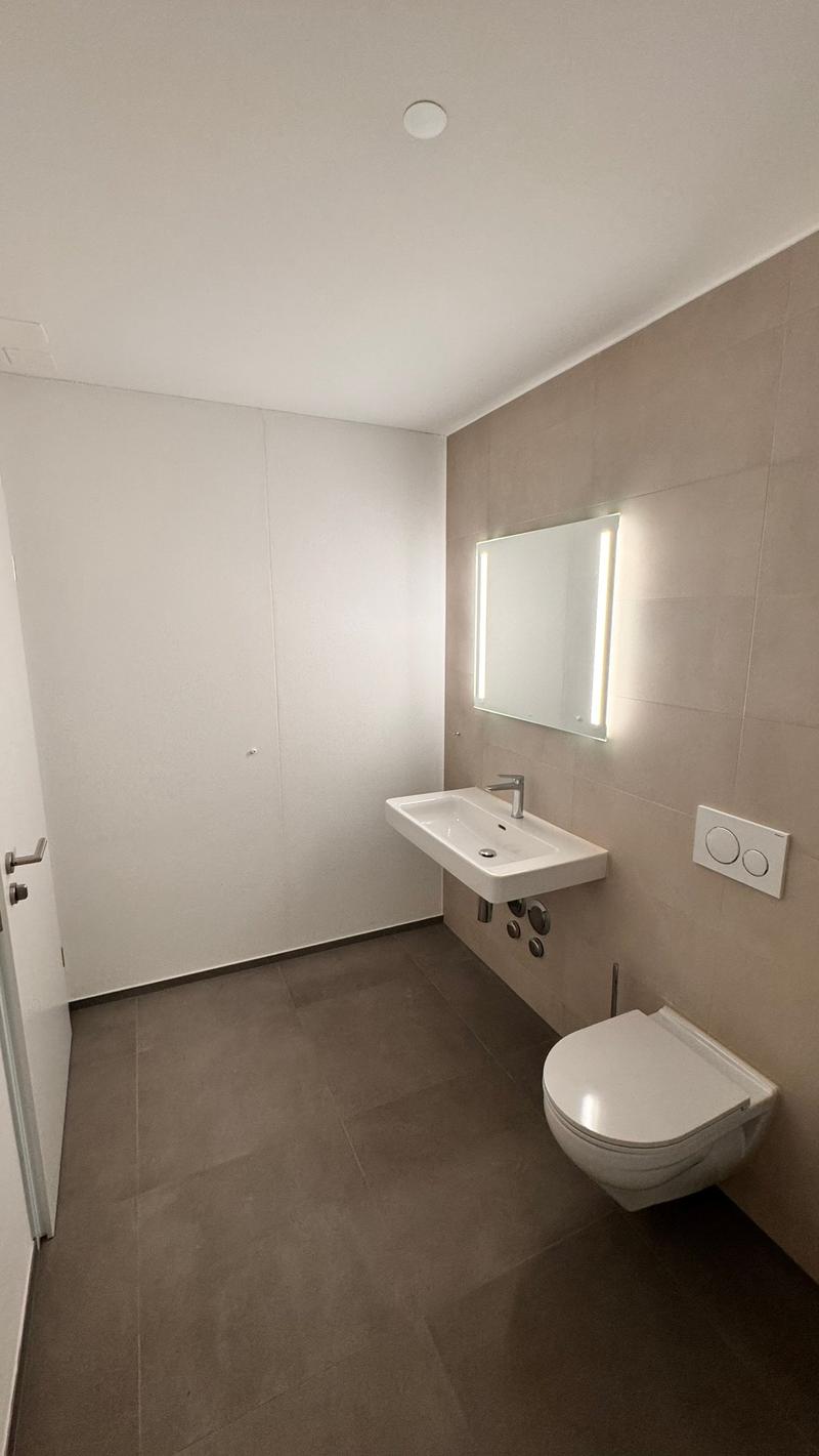 Neubau-Wohnung mit Balkon in Zullwil (4)