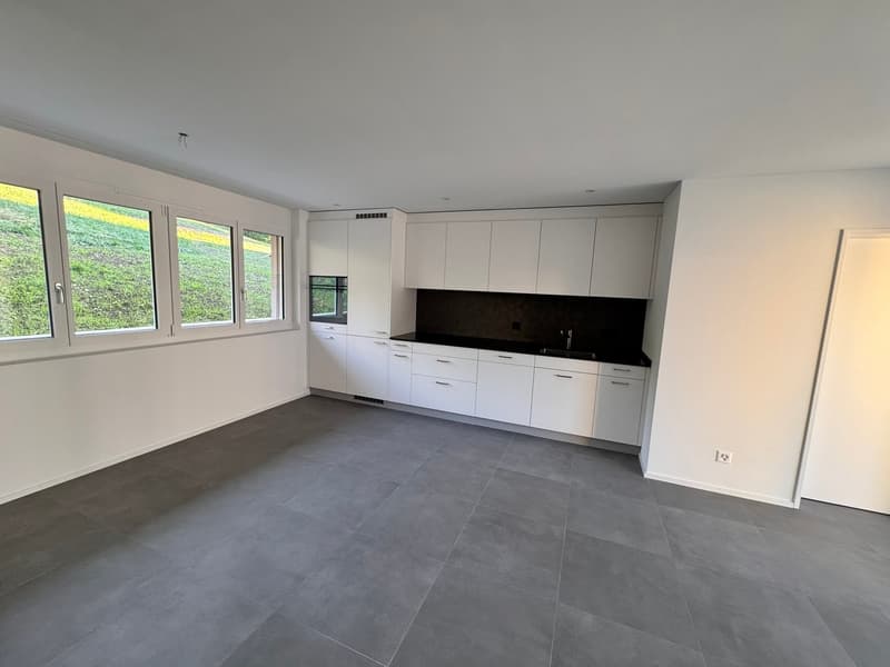 Erstvermietung 2 MFH Kirchweg 358 / 359 in Zullwil – Modern wohnen im Grünen (2)