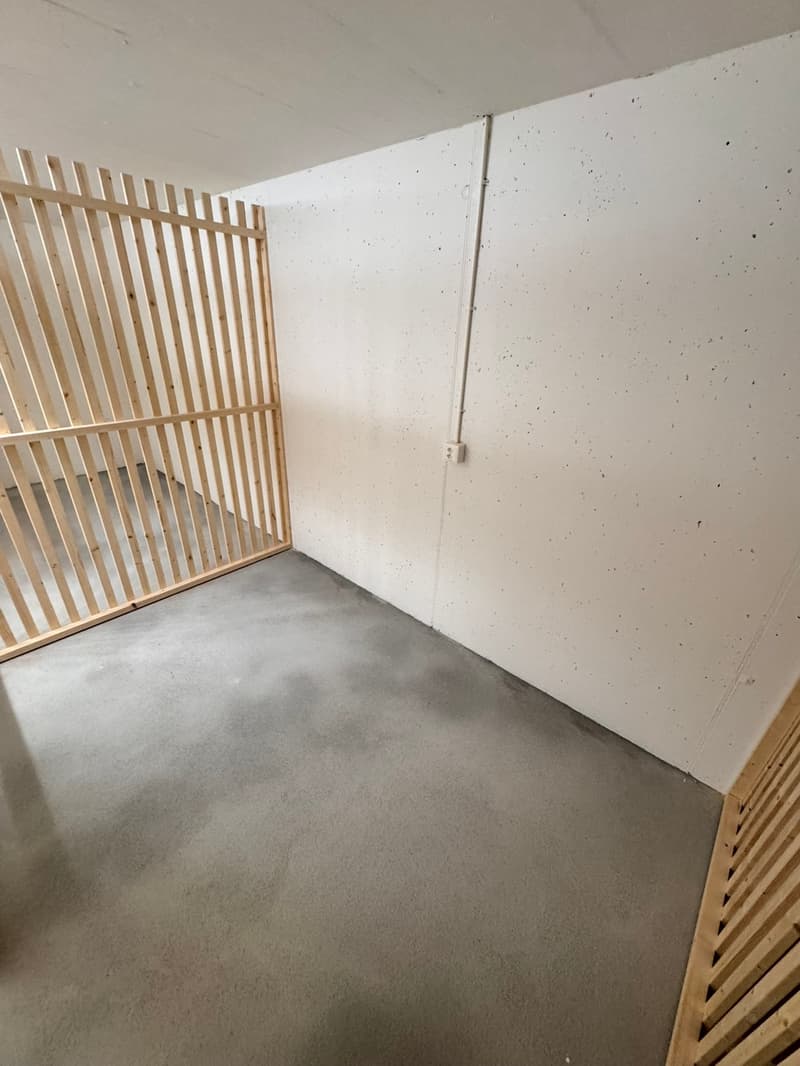 Erstvermietung 2 MFH Kirchweg 358 / 359 in Zullwil – Modern wohnen im Grünen (26)