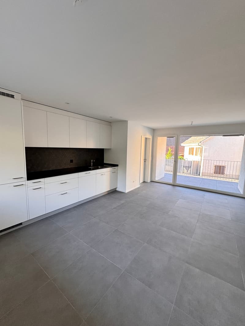 Erstvermietung 2 MFH Kirchweg 358 / 359 in Zullwil – Modern wohnen im Grünen (4)
