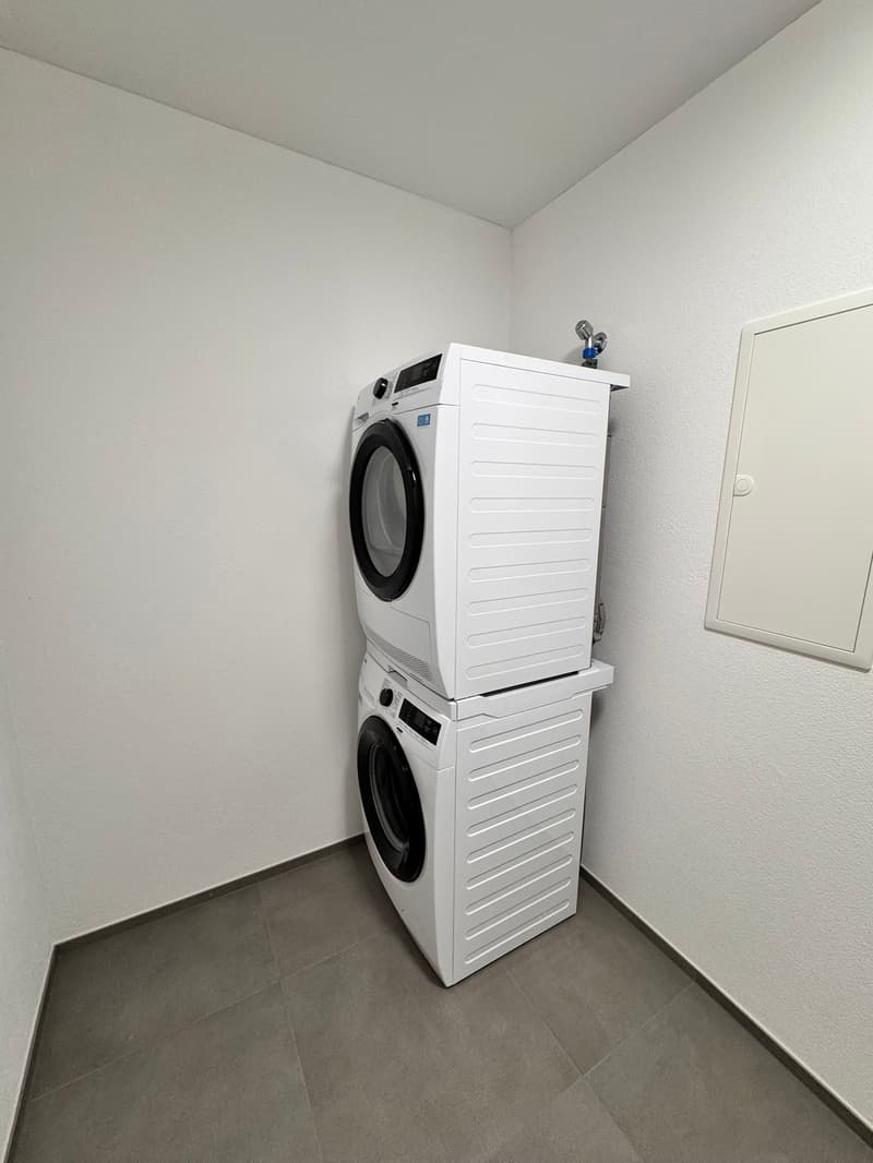 Erstvermietung 2 MFH Kirchweg 358 / 359 in Zullwil – Modern wohnen im Grünen (12)