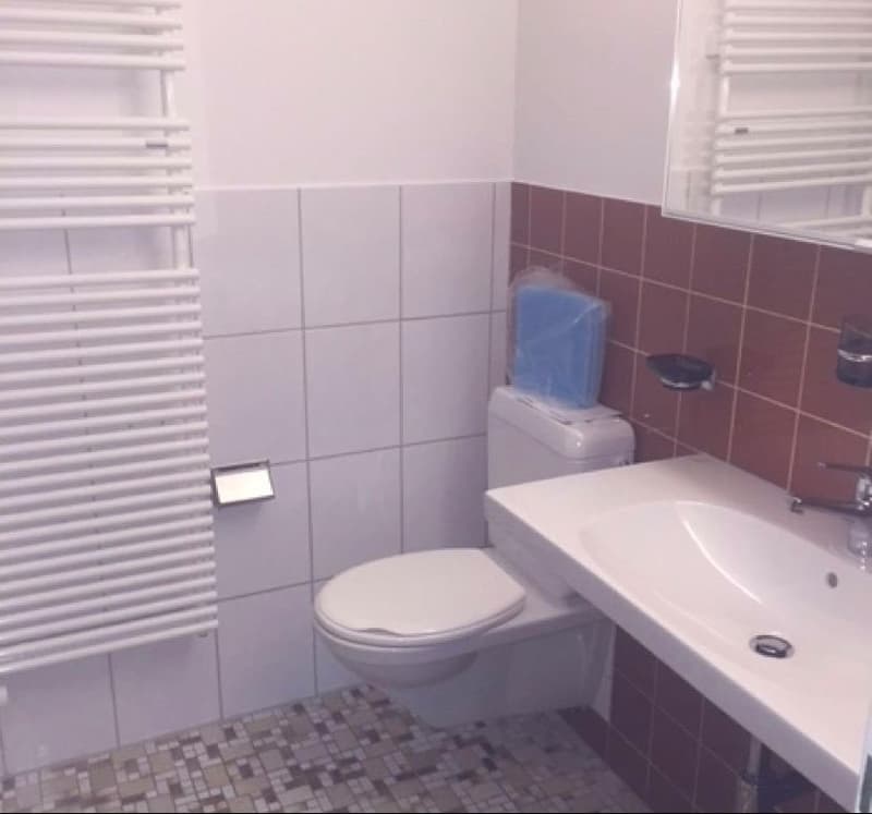 Gemütliche 3.5-Zimmer-Wohnung mit Balkon in Trimbach – ab November 2026 verfügbar (6)