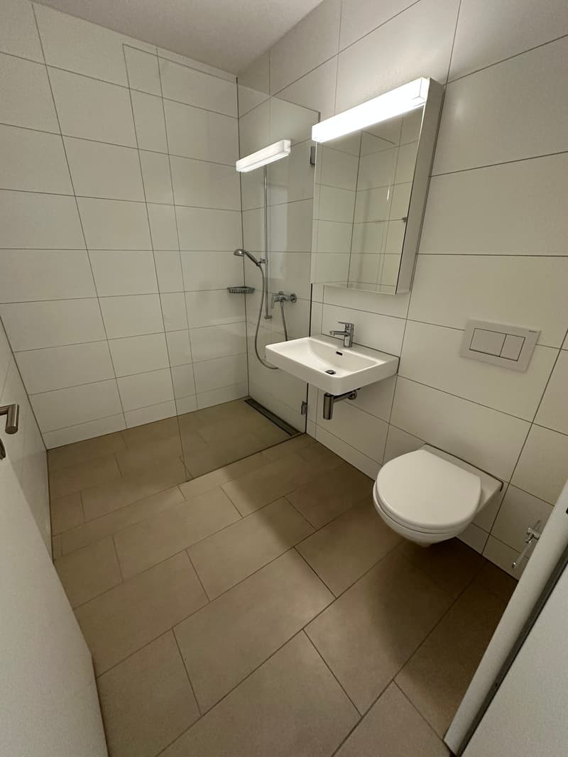 Charmante 2.5-Zimmer-Attikawohnung in Menznau (6)