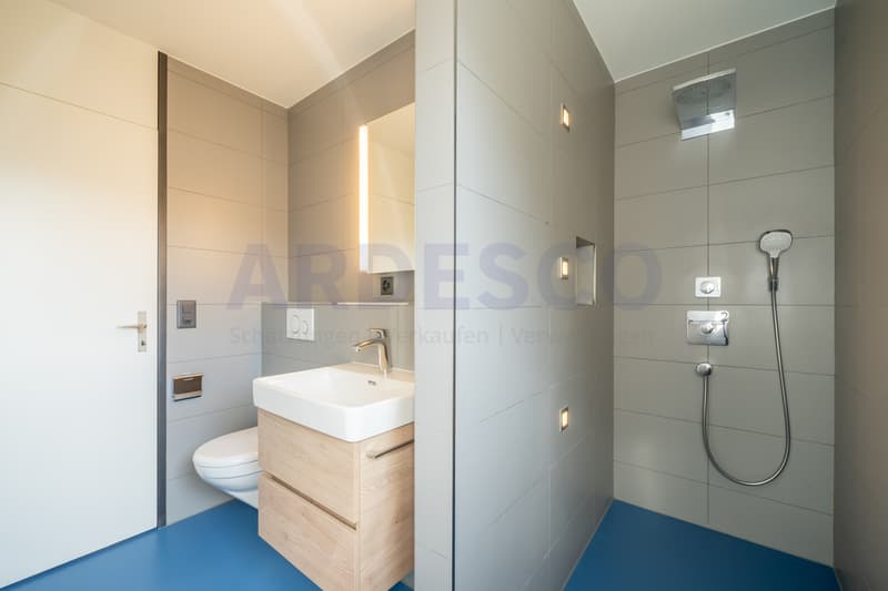 Daezimmer / Dusche / WC