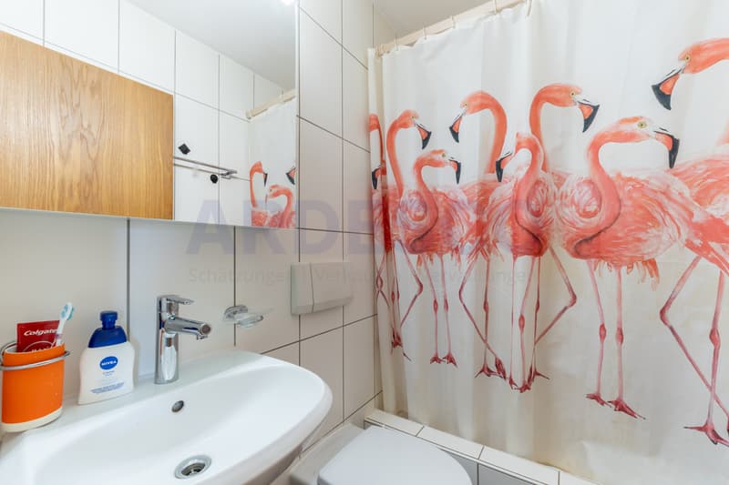 Appartement 202 / Badezimmer / 2.Obergeschoss