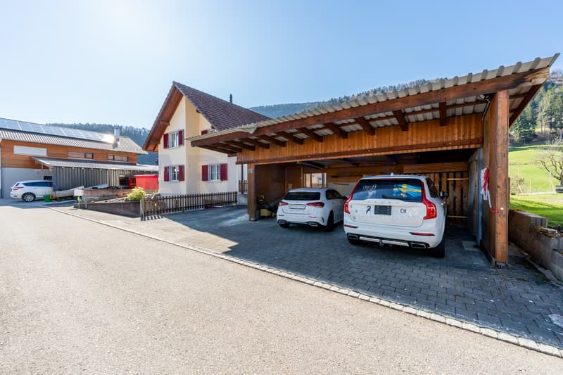 Grosszügiger Carport und zusätzliche Aussenparkplätze