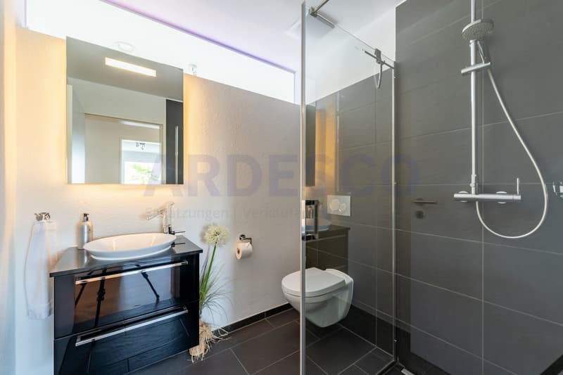 Nasszelle mit Dusche