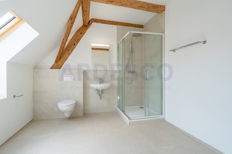Dachwohnung mit Charme! (3)