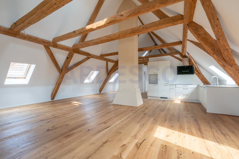 Dachwohnung mit Charme! (1)