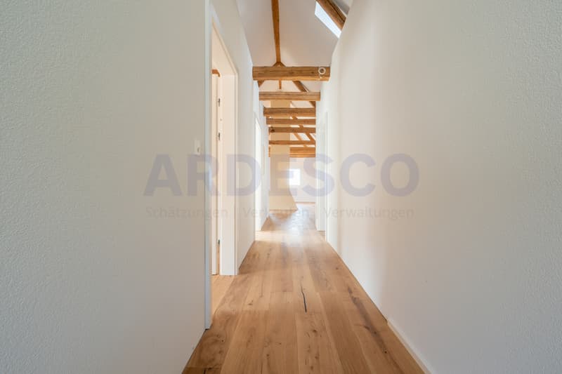 Dachwohnung mit Charme! (8)