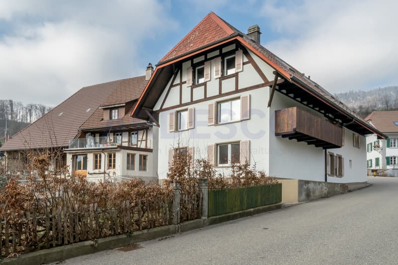 Dachwohnung mit Charme! (9)