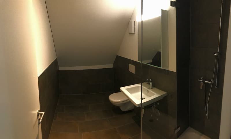 Charming 4.5-room maisonette apartment in Unterengstringen (3)