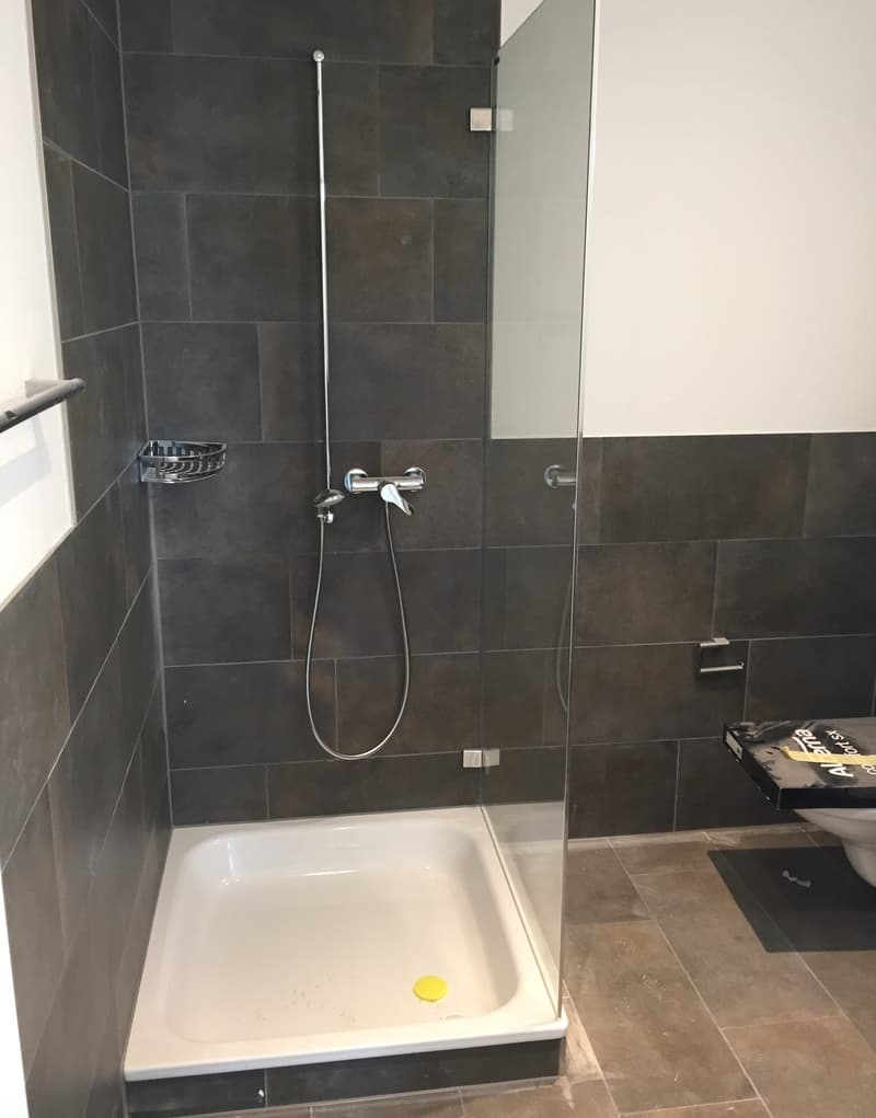 Charming 4.5-room maisonette apartment in Unterengstringen (11)