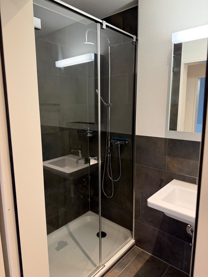 Moderne 3.5-Zimmer-Wohnung in Unterengstringen – sofort verfügbar (5)