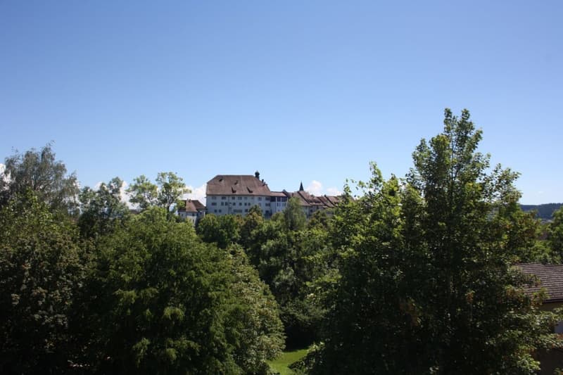 Blick auf Wiler Altstadt