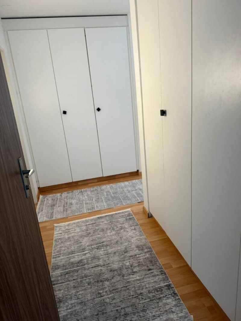 Spacious 4.5 room apartment in the "Flurhof" district (9)