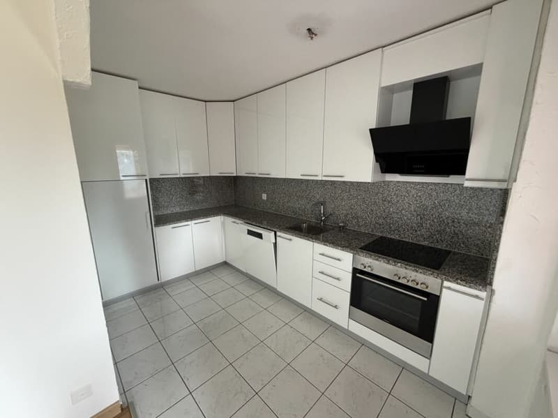 Grosszügige 4.5 Zimmer-Wohnung, im Quartier "Flurhof" (10)