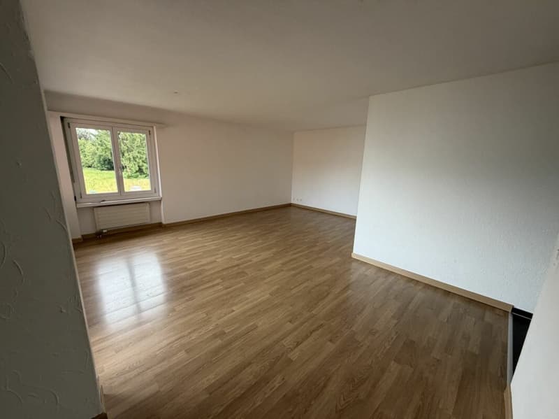 Grosszügige 4.5 Zimmer-Wohnung, im Quartier "Flurhof" (5)