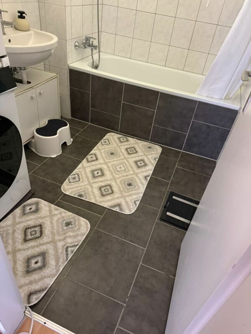 Spacious 4.5 room apartment in the "Flurhof" district (10)