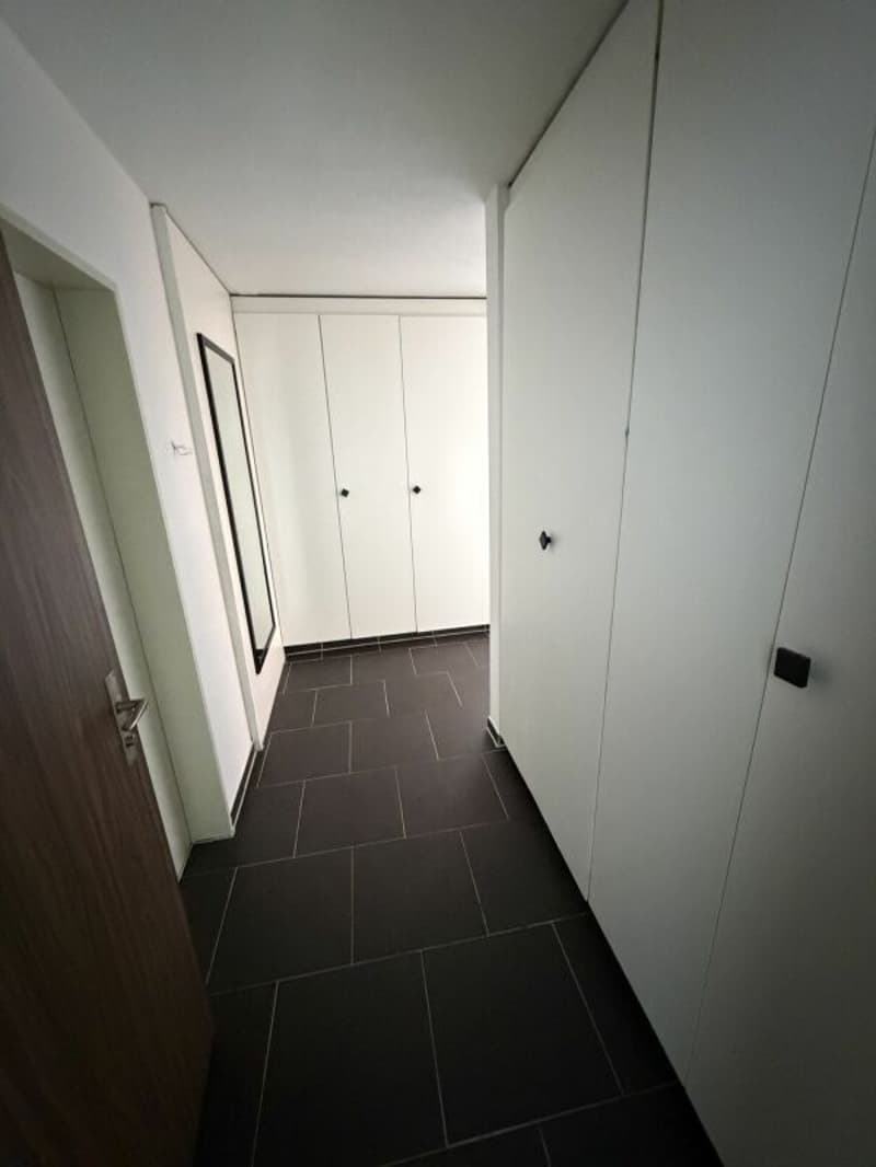 Grosszügige 4.5 Zimmer-Wohnung, im Quartier "Flurhof" (2)