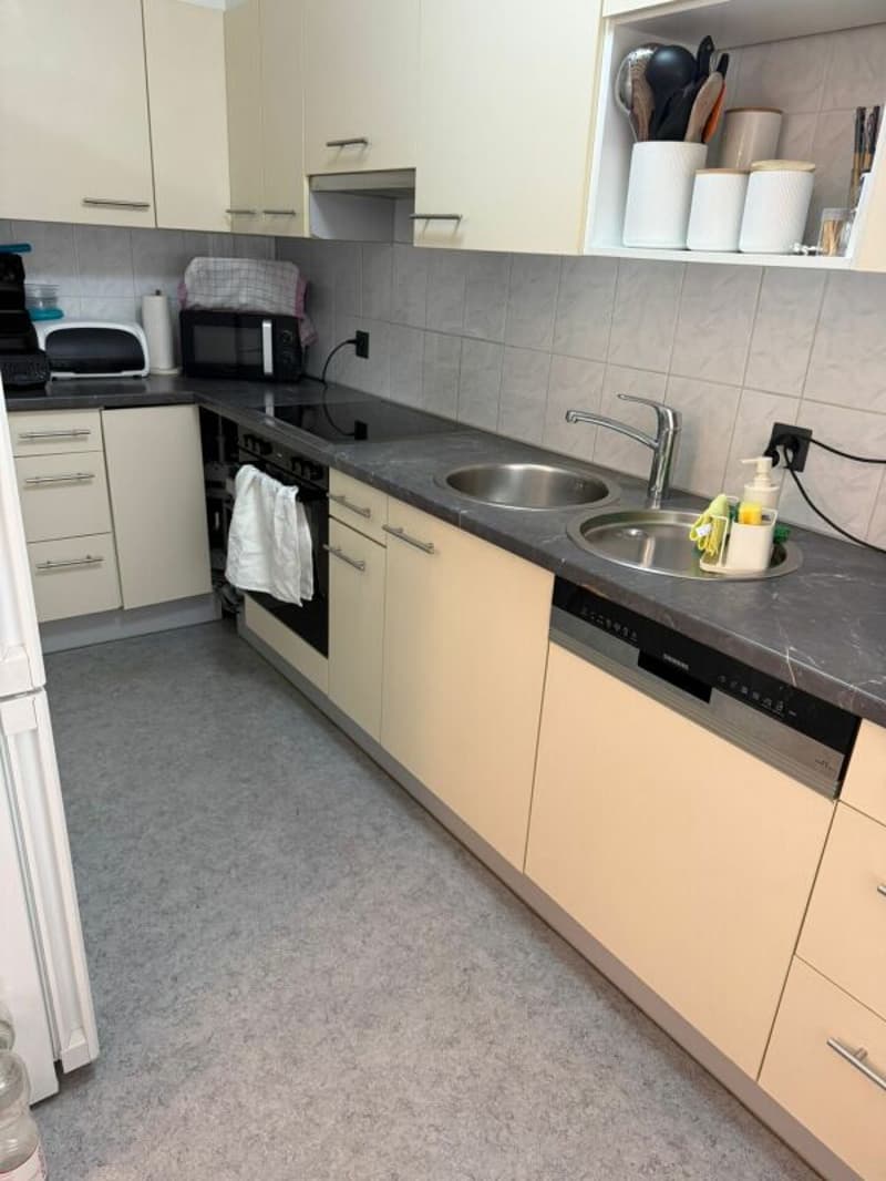 Spacious 4.5 room apartment in the "Flurhof" district (4)