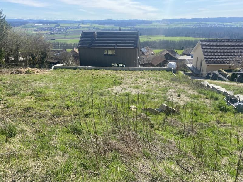 Parcelle de construction dans "Urban", Neunforn 594m2, entièrement aménagée, ensoleillée et avec une vue loin (sans obligation d'architecture) pour maison unifamiliale ou projet de maison jumelée (3)