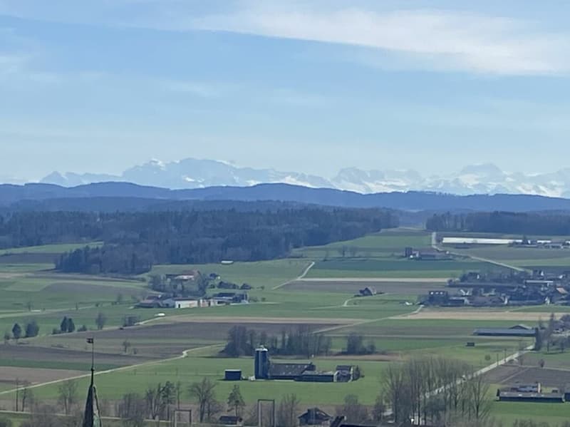 Parcelle de construction dans "Urban", Neunforn 594m2, entièrement aménagée, ensoleillée et avec une vue loin (sans obligation d'architecture) pour maison unifamiliale ou projet de maison jumelée (2)